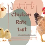 chicken rate list written on notepad