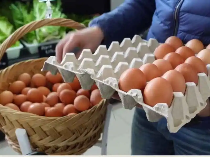 Fresh brown Rhode Island Red chicken eggs displayed in an egg carton tray and a woven basket