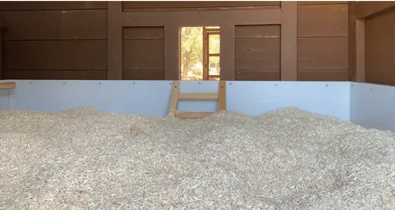 Wooden chicken coop interior showing deep litter bedding material on the floor